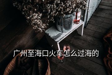 广州至海口火车怎么过海的