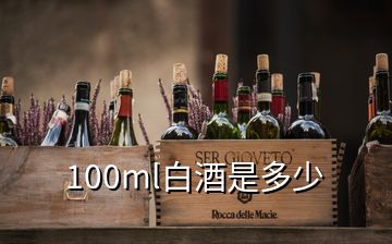 100ml白酒是多少