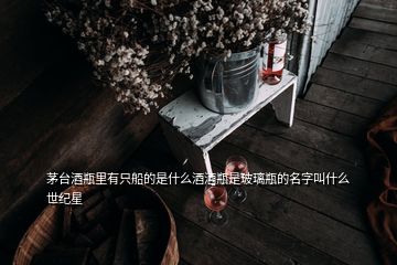 茅台酒瓶里有只船的是什么酒酒瓶是玻璃瓶的名字叫什么世纪星