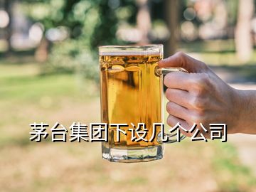 茅台集团下设几个公司