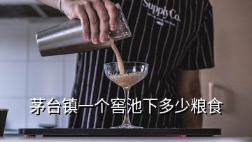 茅台镇一个窖池下多少粮食