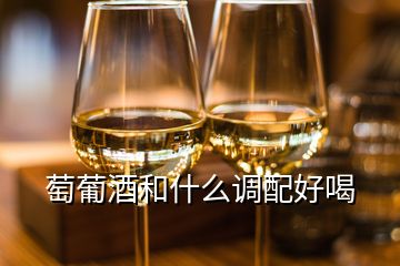 萄葡酒和什么调配好喝