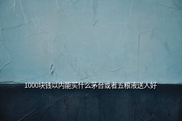 1000块钱以内能买什么茅台或者五粮液送人好