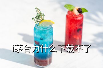 i茅台为什么下载不了