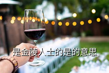 是金陵人士的是的意思