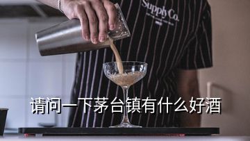 请问一下茅台镇有什么好酒