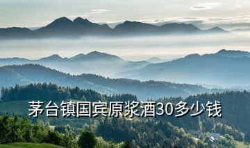 茅台镇国宾原浆酒30多少钱