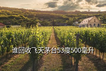 谁回收飞天茅台53度500毫升