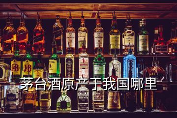 茅台酒原产于我国哪里