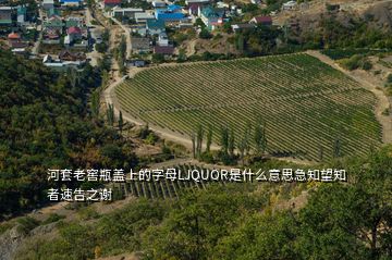 河套老窖瓶盖上的字母LJQUOR是什么意思急知望知者速告之谢