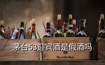 茅台53迎宾酒是假酒吗