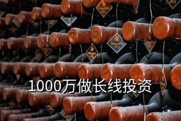 1000万做长线投资