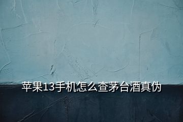 苹果13手机怎么查茅台酒真伪