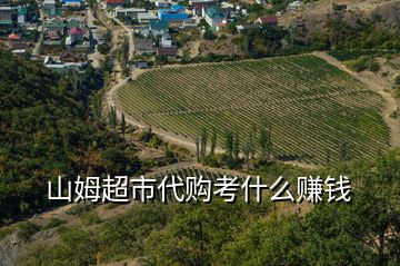 山姆超市代购考什么赚钱