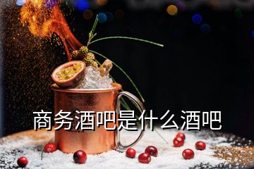 商务酒吧是什么酒吧