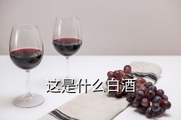 这是什么白酒