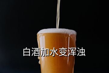 白酒加水变浑浊