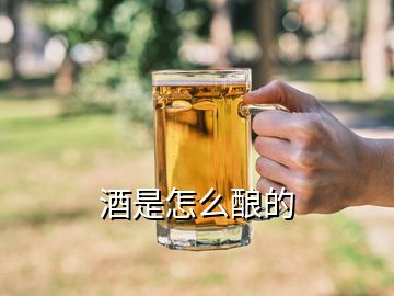 酒是怎么酿的