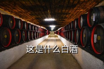 这是什么白酒