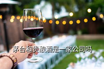 茅台和贵酿酒是一家公司吗