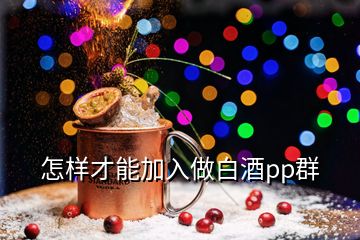 怎样才能加入做白酒pp群