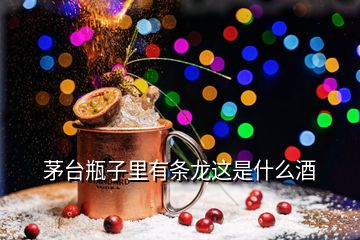 茅台瓶子里有条龙这是什么酒