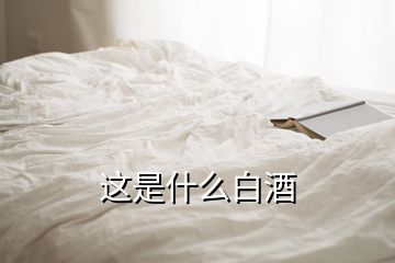 这是什么白酒