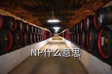 NP什么意思