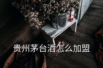 贵州茅台酒怎么加盟