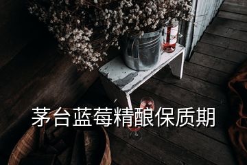 茅台蓝莓精酿保质期