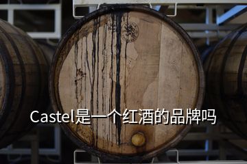 Castel是一个红酒的品牌吗