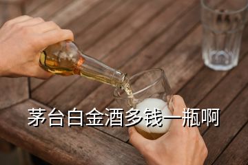 茅台白金酒多钱一瓶啊