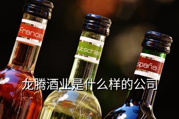 龙腾酒业是什么样的公司