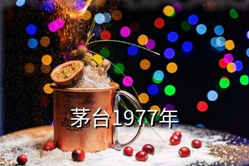 茅台1977年