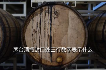 茅台酒瓶封口处三行数字表示什么