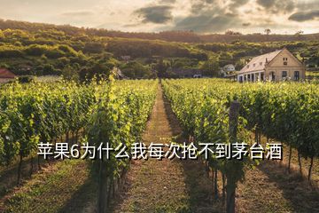 苹果6为什么我每次抢不到茅台酒