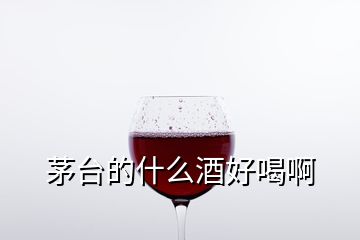 茅台的什么酒好喝啊