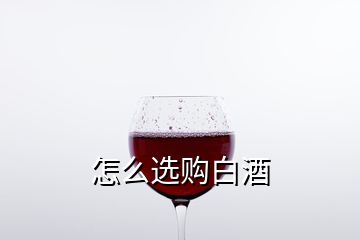 怎么选购白酒