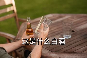 这是什么白酒