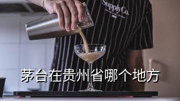 茅台在贵州省哪个地方