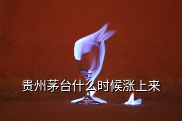 贵州茅台什么时候涨上来