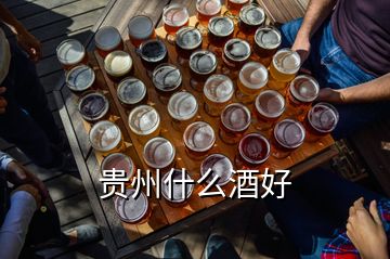 贵州什么酒好