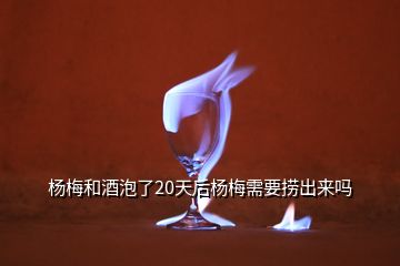 杨梅和酒泡了20天后杨梅需要捞出来吗