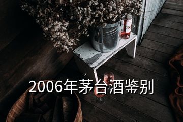 2006年茅台酒鉴别