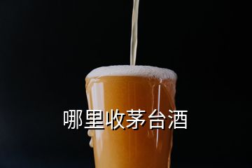 哪里收茅台酒