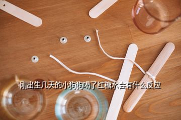 刚出生几天的小狗狗喝了红糖水会有什么反应