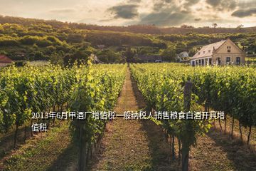 2013年6月甲酒厂增值税一般纳税人销售粮食白酒开具增值税