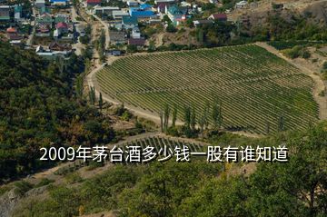 2009年茅台酒多少钱一股有谁知道