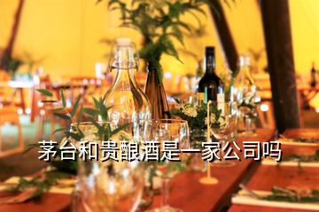 茅台和贵酿酒是一家公司吗