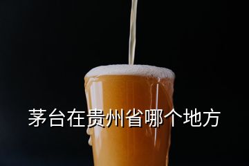 茅台在贵州省哪个地方